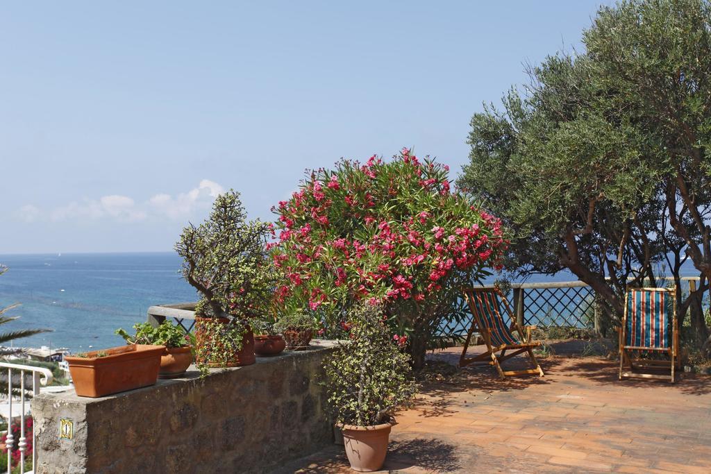 Eremo Di Montevergine Ischia Apartments Forio di Ischia Exteriör bild